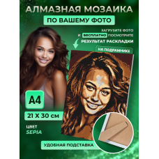 Алмазная мозаика по фото 21*30 FM-sepia
